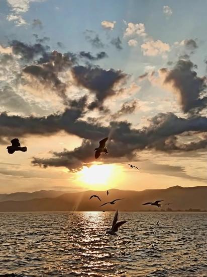 Why Köyceğiz?