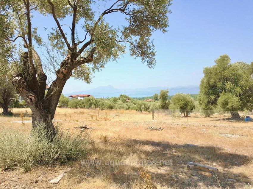 930M2 Shared Land For Sale In Zeytinalani With Lake View