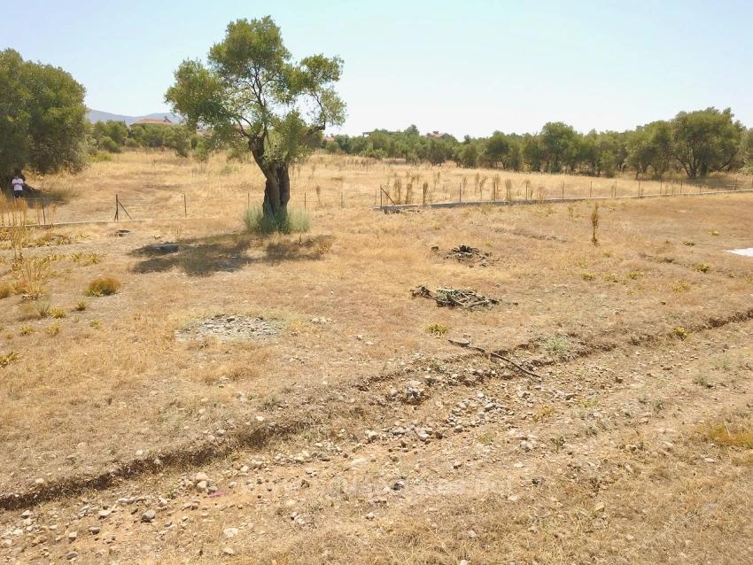 930M2 Shared Land For Sale In Zeytinalani With Lake View