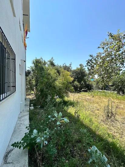 Village of Köyceğiz Zeytinalanı Neighbourhood Rental Garden Floor Apartment