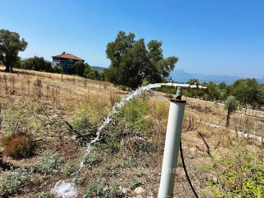 Продается Участок Общей Площадью 930 М2 В Зейтиналани С Видом На Озеро