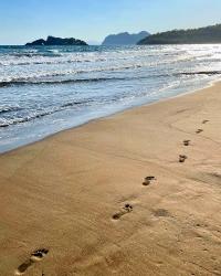 О Канале Дальян И Скальных Гробницах Кауноса