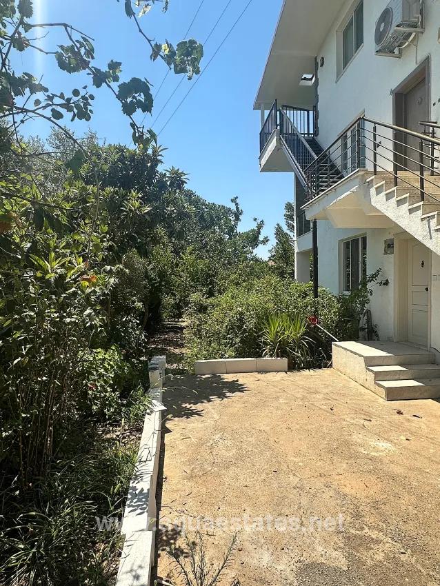 Köyceğiz Zeytinalanı Mah. Kiralık Bahçe Katı Daire