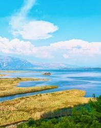 Köyceğiz Hakkında